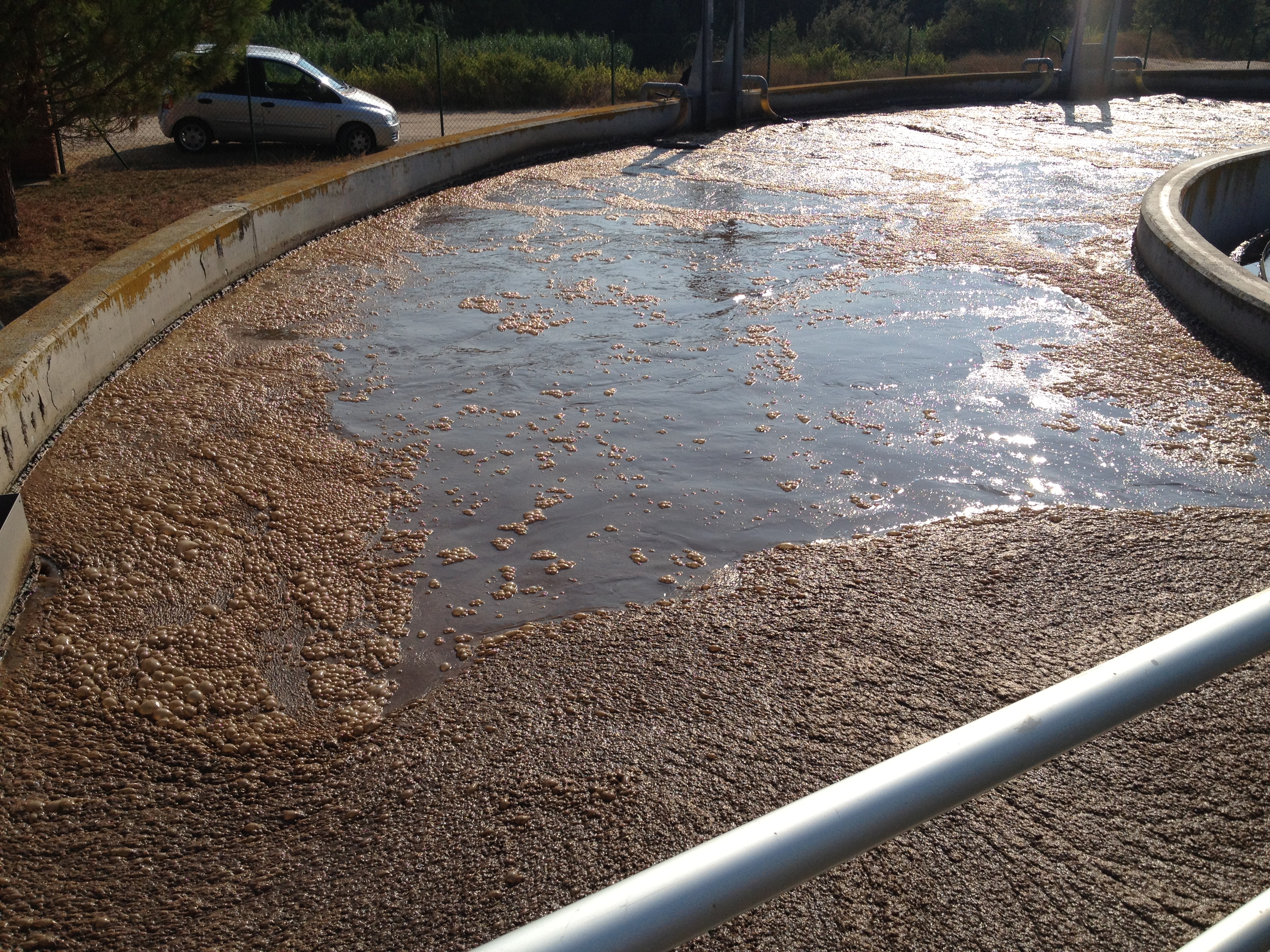 Secondary clarifier lamella zone and settling area